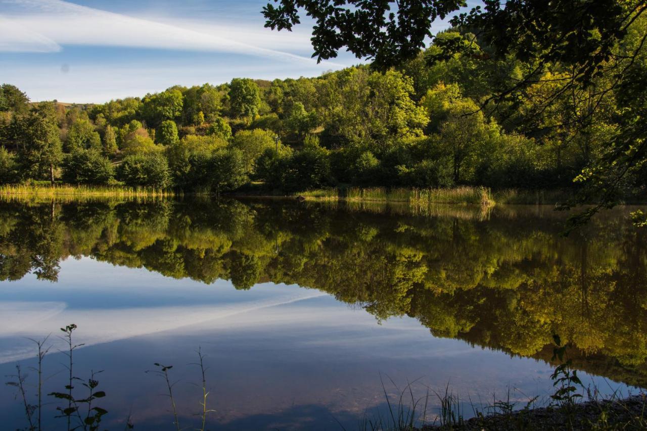 Le Lac Des Moines Condat  Экстерьер фото
