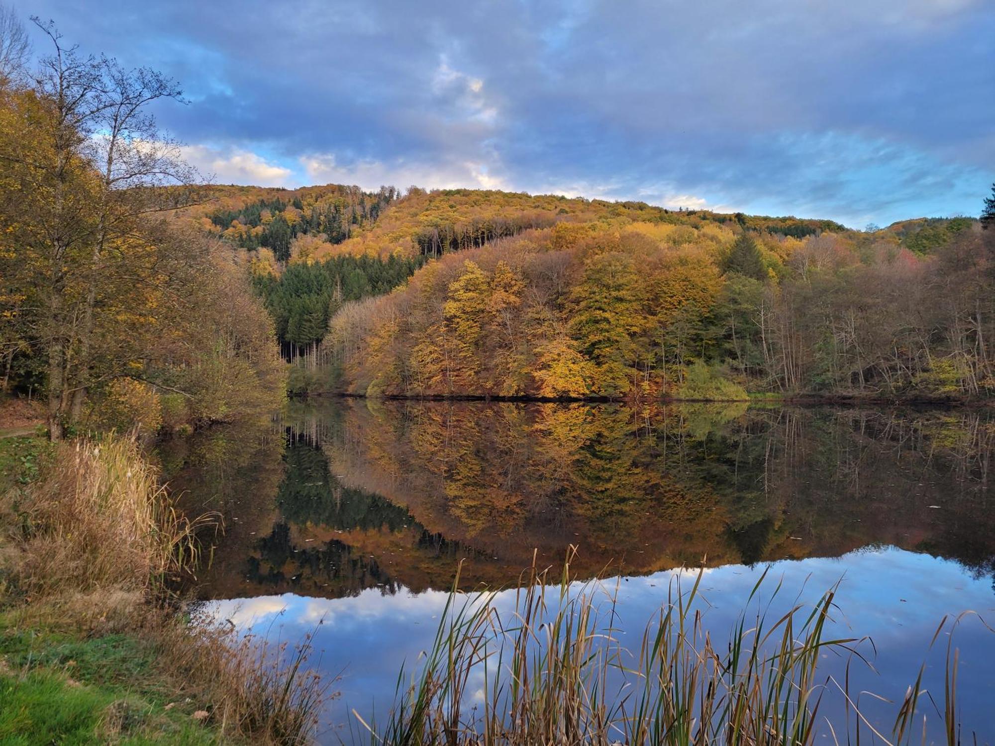 Le Lac Des Moines Condat  Экстерьер фото