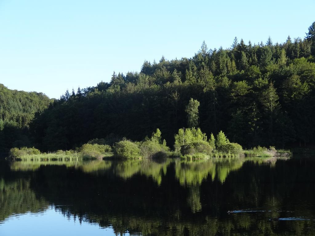 Le Lac Des Moines Condat  Экстерьер фото