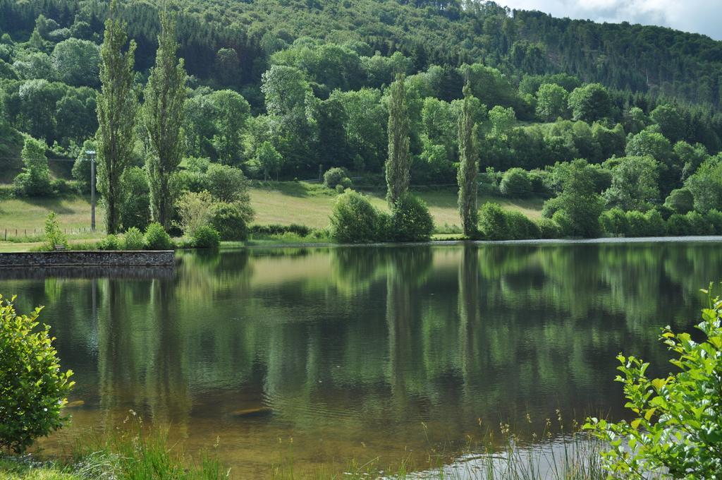 Le Lac Des Moines Condat  Экстерьер фото